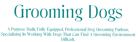 Grooming Dogs

A Purpose Built, Fully Equipped, Professional Dog Grooming Parlour,
Specialising In Working With Dogs That Can Find A Grooming Environment 
Difficult.